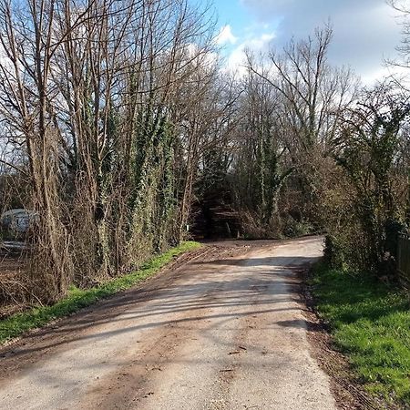 Gite Zen Dans Les Bois Blesignac Bagian luar foto