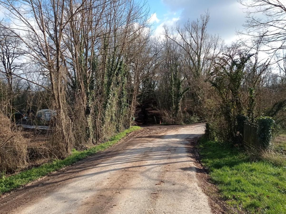 Gite Zen Dans Les Bois Blesignac Bagian luar foto