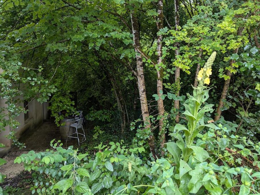 Gite Zen Dans Les Bois Blesignac Bagian luar foto